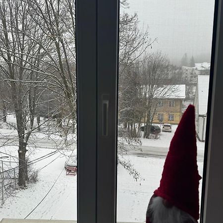 Lv Luxury Apart - One Minute Away From Train Station Predeal Buitenkant foto
