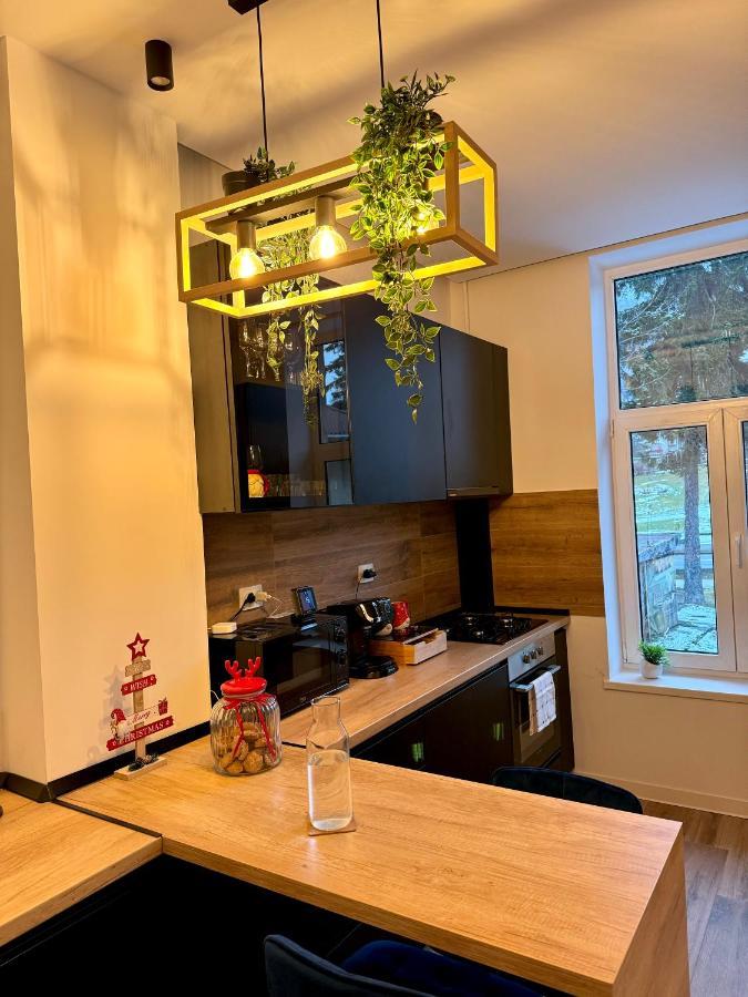Lv Luxury Apart - One Minute Away From Train Station Predeal Buitenkant foto
